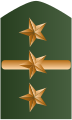 Rank insignia of coronel of the Colombian Army.svg