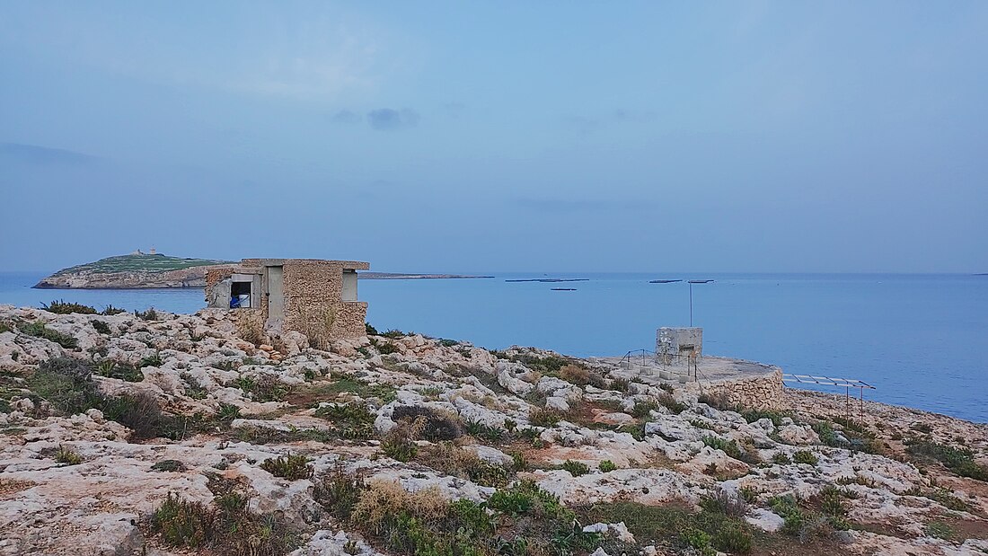 Ras il-Miġnuna (punta sa Malta)