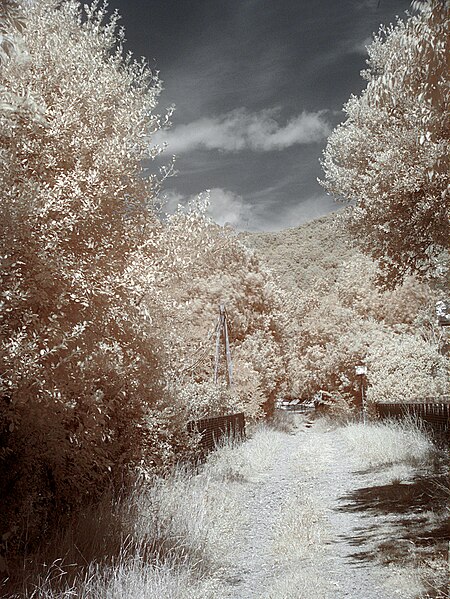 File:Reynès 2011-07-24 31 IR.jpg