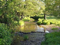 River Tale in der Nähe von Cadhay - geograph.org.uk - 179377.jpg