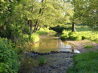 <span class="mw-page-title-main">River Tale</span> River in Devon, England