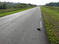 Road in French Guiana.jpg