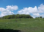 Burgberg, Standort der ehemaligen Sputinesburg