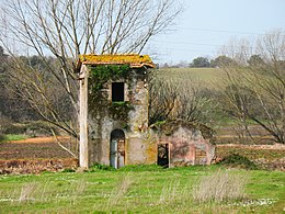 Ruine dans la réserve naturelle Tenuta dei Massimi - panoramio.jpg