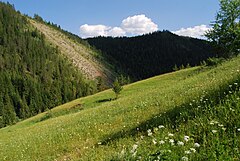 Rugova Alps.JPG