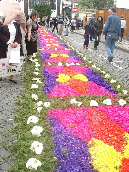 The flower carpet that covers some streets in Ponta Delgada during the Festa do Senhor Santo Cristo dos Milagres
