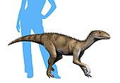 Sacisaurus Sacisaurus NT small.jpg