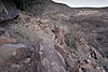 Pre-Columbian petroglyphs by the Charleston & Millville Historic Townsite