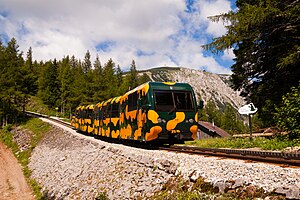 A salamander set of the Schneebergbahn above the Baumgartner station.