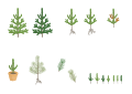 Scots pine (Pinus sylvestris) seedlings and saplings