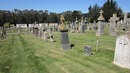 Section of Holy Cross Cemetery, Colma 5.JPG