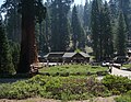 Sequoia National Park - Giant Forest Museum