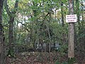 Thumbnail for File:Shooting Cabins in Captain's Wood - geograph.org.uk - 2144248.jpg