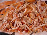 Shrimps at market in Valencia.jpg