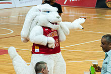 The Merlion Mascot of the Singapore Slingers Singapore Slingers Merlion Mascot.jpg