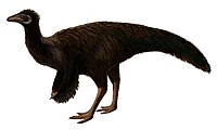 List Of Asian Dinosaurs