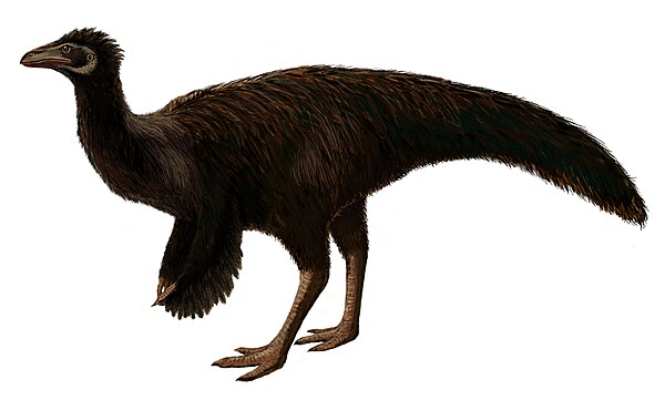 Life restoration