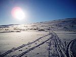 Skidspår på fjället i Gräftåvallen