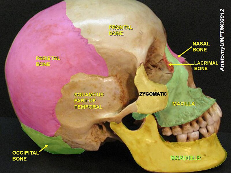 File:Slide5llll.JPG