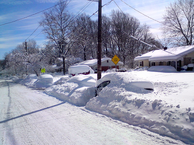 File:Snow-in-Maryland-Feb-09.JPG