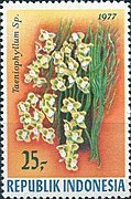 Stamp of Indonesia - 1977 - Colnect 258385 - Orchids.jpeg