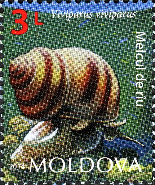 File:Stamps of Moldova, 2014-30.jpg