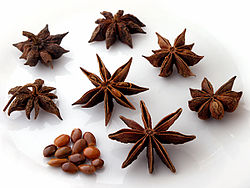 Pat-kok ke kó-chṳ́ (Illicium verum)