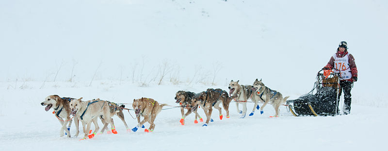 File:Start F400 fra Røros (8444211591).jpg