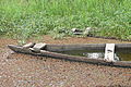 Still Life with Half-Sunken Pirogue - Hippopotamus Lake - Near Satiri - Burkina Faso.jpg