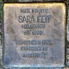 Stolperstein.Prenzlauer Berg.Torstrasse 89.Sara Feit.5652.jpg