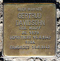 Gertrud Davidsohn, Großbeerenstraße 1, Berlin-Kreuzberg, Deutschland