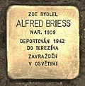 Stumbling block for Alfred Briess.JPG