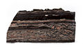Stromatolite - MUSE 2.jpg