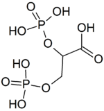 Structure of 2,3-bisphosphoglyceric acid.png