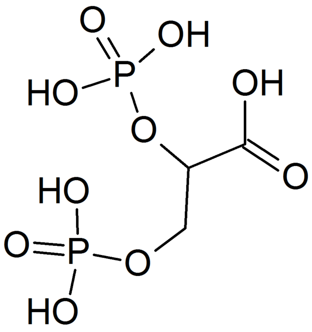 Hoeveelheid van Premier Schat 2,3-Bisphosphoglyceric acid - Wikipedia