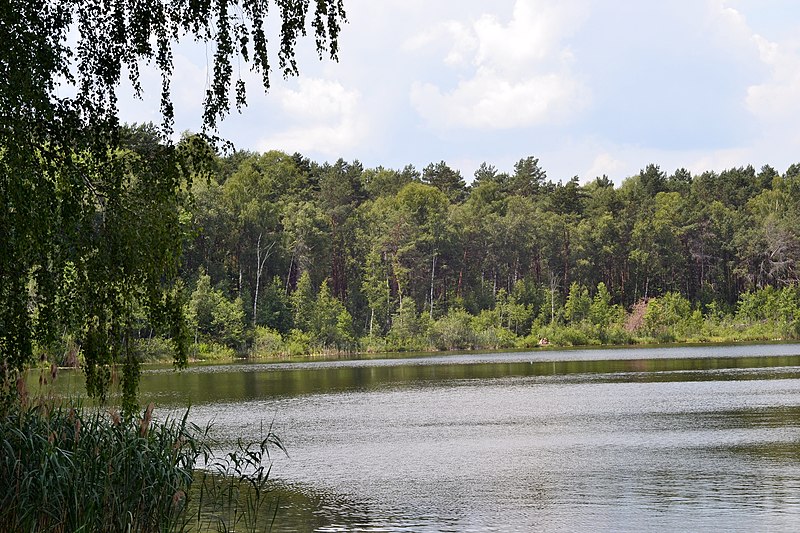 File:Sushybaba Turiiskyi Volynska-Ozerianskyi nature reserve-Berezhyste lake-2.jpg