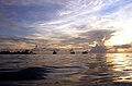 Swift Reef sea1.jpg