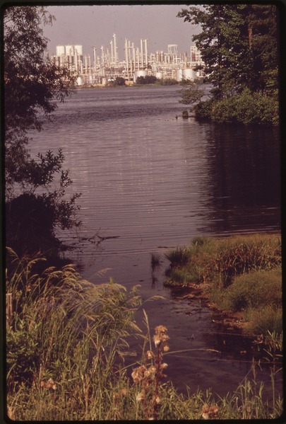 File:THE POLLUTED LAKE WHICH SURROUNDS EASTMAN KODAK PLANT - NARA - 546207.tif