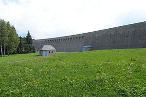 Muldenberg dam2.JPG