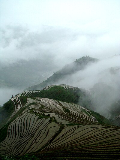 A hillside in China which has been terraced for rice cultivation Terrace field guangxi longji china.jpg