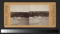 The Hudson, The Palisades (NYPL b11707647-G90F453 013F).tiff