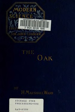 The Oak.djvu