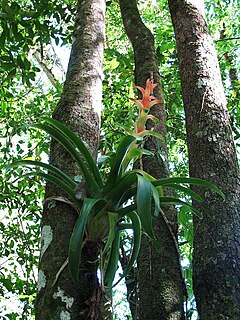 Trifinio Fraternidad Transboundary Biosphere Reserve