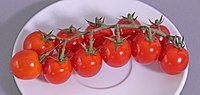 Tomato variety Piccolo Cherry 04 (fcm) .jpg