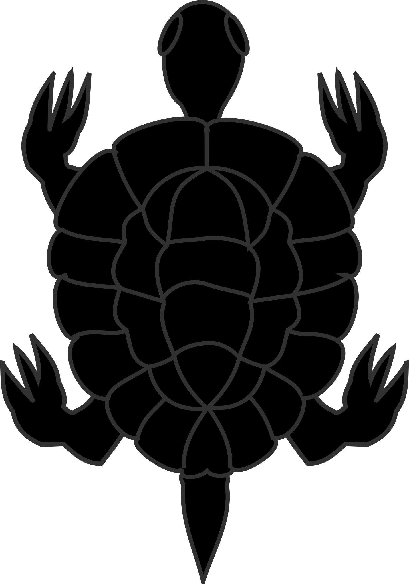 Tortue — Wikipédia