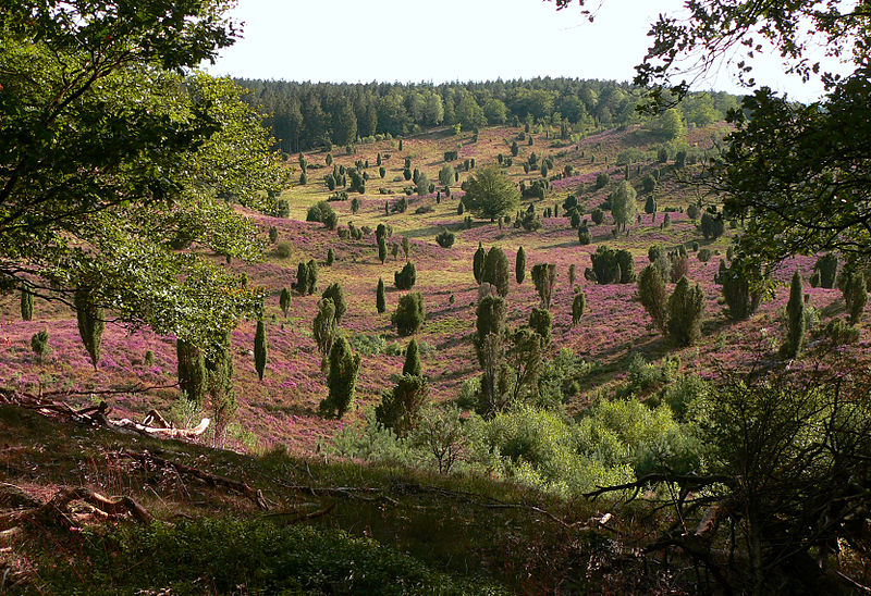 File:Totengrund seitlich Seitenlicht.jpg