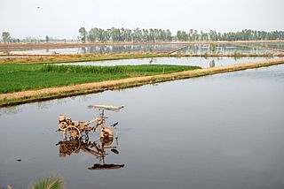 Mekong Delta Region in Vietnam