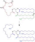 Thumbnail for File:Triglyceride Hydrogenation V.4.svg