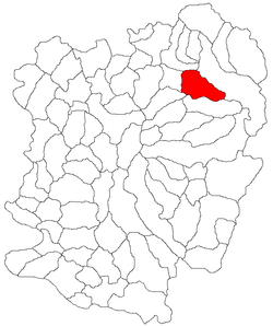 Location in Caraș-Severin County