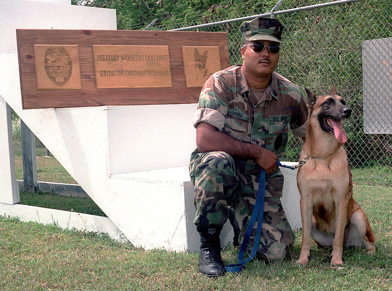 File:US Navy 970219-N-9013W-004 Master-at-Arms with working dog.jpg